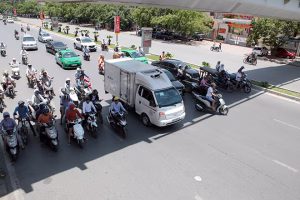 than trong voi cac benh do thoi tiet nang nong 66f81e1c98f24